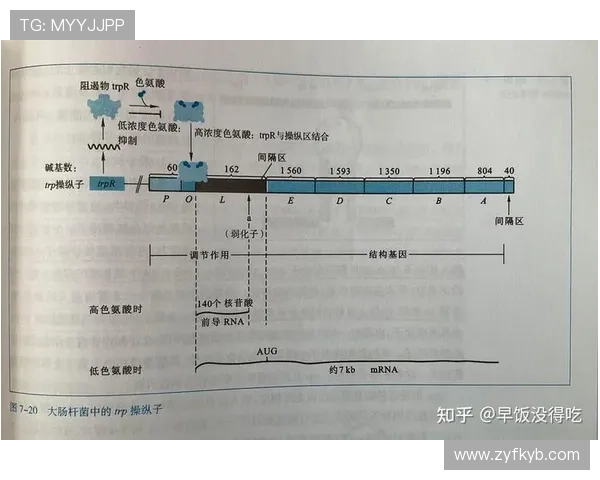 围绕卡特尔成员行为特征探讨其市场操纵机制与竞争影响分析